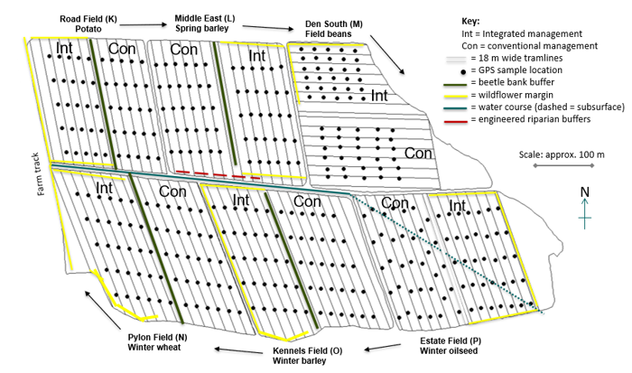 Site design diagram of the CSC long-term experiment