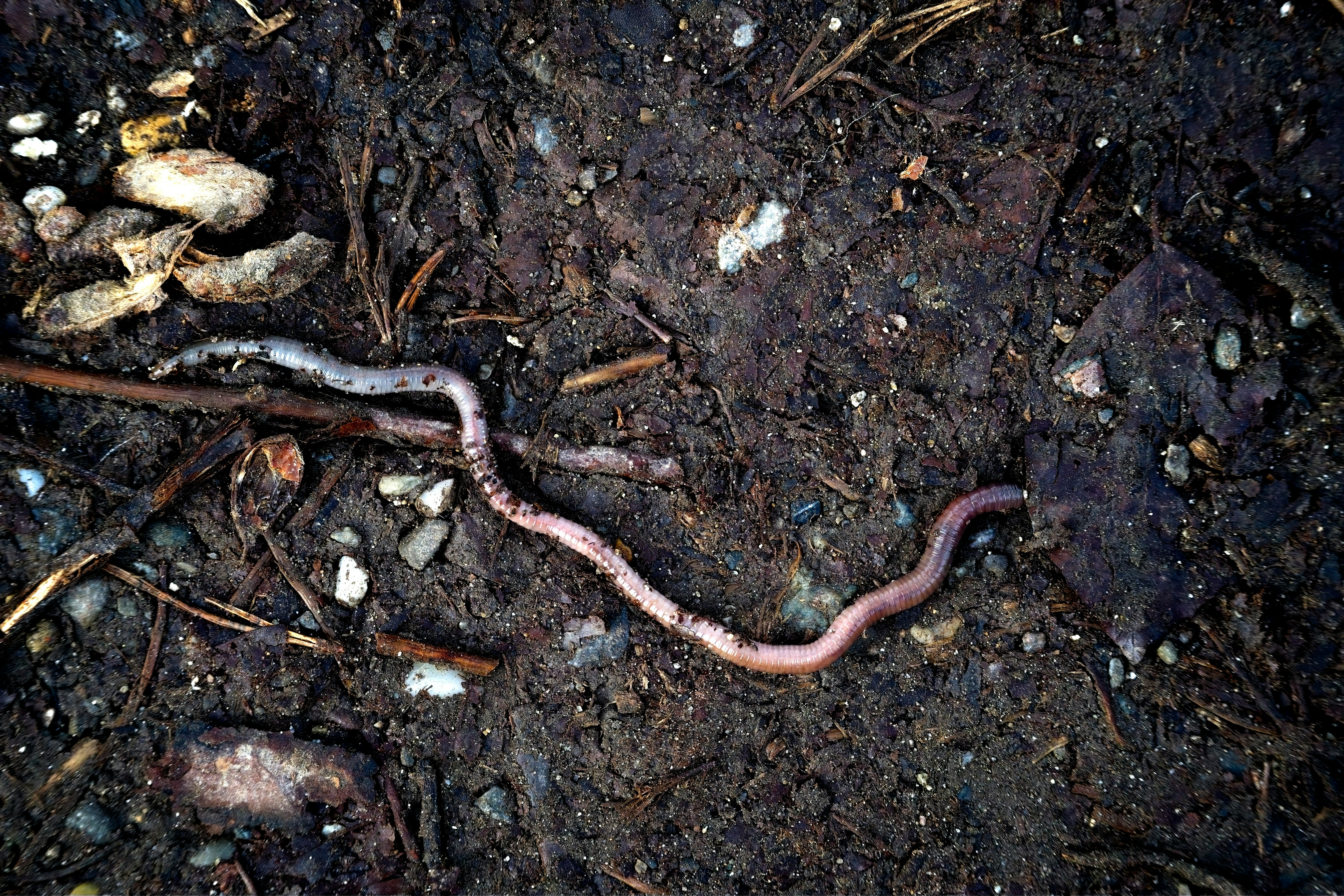 Improving soil health